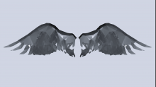 lostdoor_abstract-wings.png InvertBGR