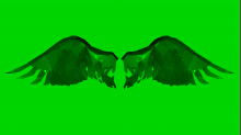 lostdoor_abstract-wings.png InvertBGRGreen