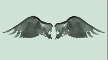 lostdoor_abstract-wings.png InvertBRG