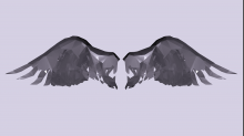 lostdoor_abstract-wings.png InvertGBR