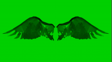 lostdoor_abstract-wings.png InvertGBRGreen