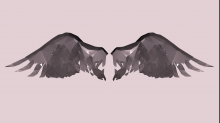 lostdoor_abstract-wings.png InvertRBG