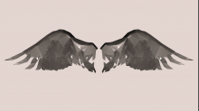 lostdoor_abstract-wings.png InvertRGB