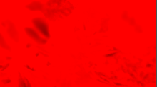 lostdoor_diffuse.png InvertRGBRed