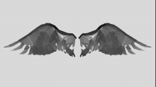 lostdoor_abstract-wings.png GrayscaleInvert