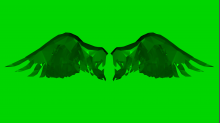 lostdoor_abstract-wings.png InvertRGBGreen