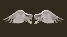 lostdoor_abstract-wings.png SwapBGR