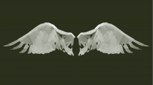 lostdoor_abstract-wings.png SwapGBR
