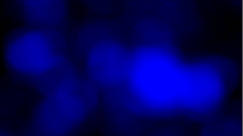 lostdoor_blurry.png SwapRGBBlue